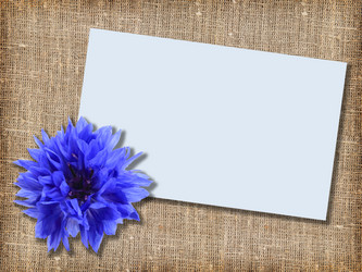 Similar image 197970