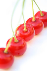 Similar image 197990