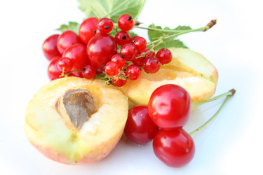 Similar image 197999