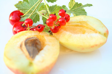 Similar image 198000