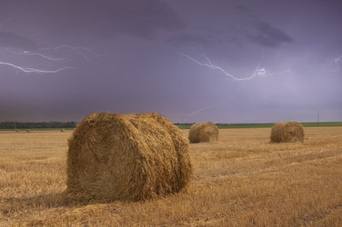 Similar image 198002