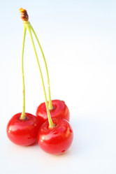 Similar image 198003