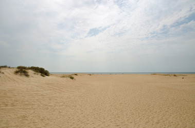 Similar image 198015