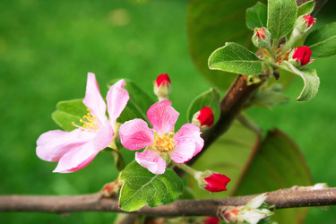 Similar image 198017