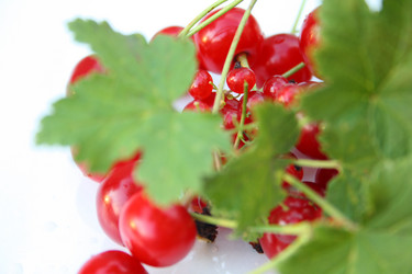 Similar image 198030