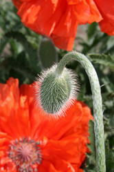 Similar image 198031