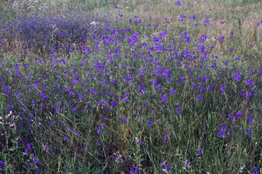 Similar image 198032