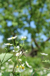 Similar image 198033