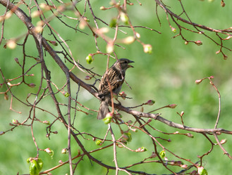 Similar image 198067