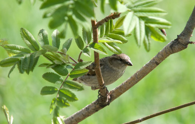 Similar image 198068