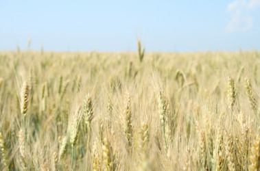 Similar image 198077