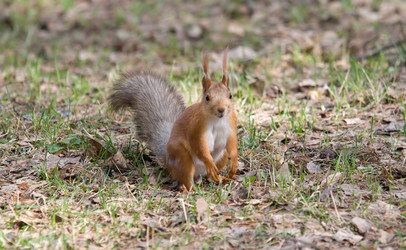 Similar image 198080