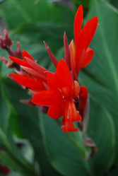 Similar image 198088