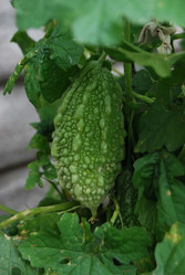 Similar image 198094