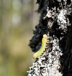 Similar image 198102