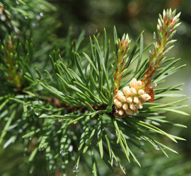 Similar image 198127