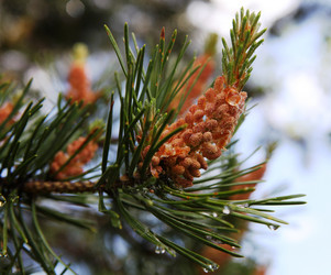 Similar image 198129