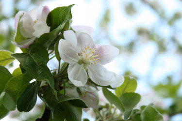 Similar image 198157