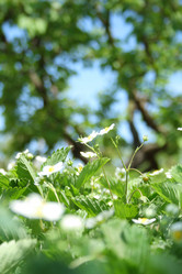 Similar image 198159