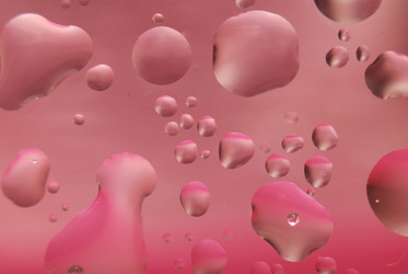 Similar image 198162