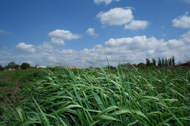 Similar image 198163