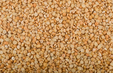 Similar image 198168