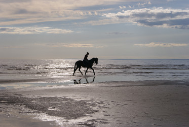 Similar image 198198