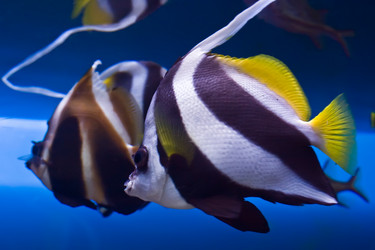 Similar image 198221