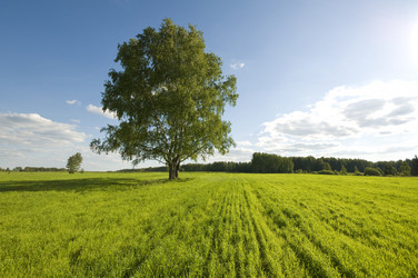 Similar image 198252