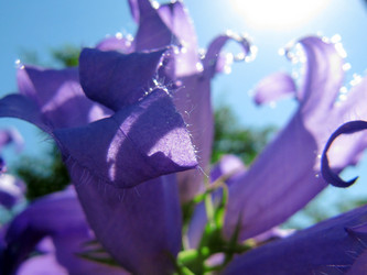 Similar image 198267