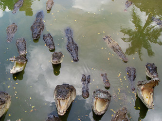 Similar image 198277