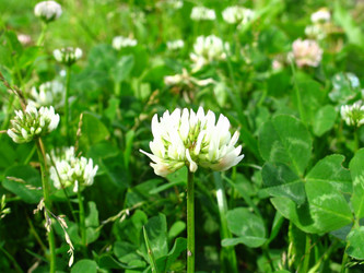 Similar image 198279