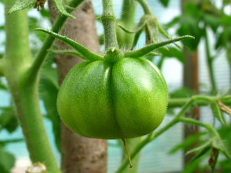 Similar image 198280