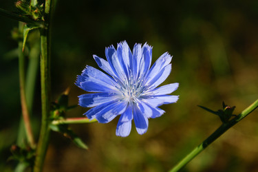 Similar image 198292