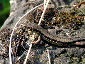 Similar image 198303