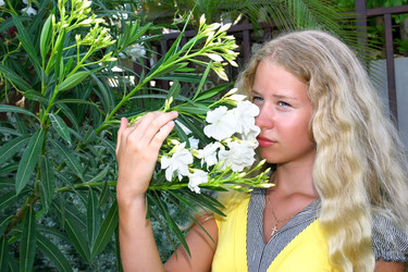 Similar image 198312