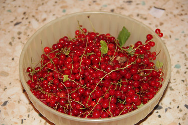 Similar image 198315