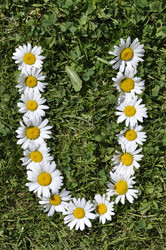 Similar image 198316