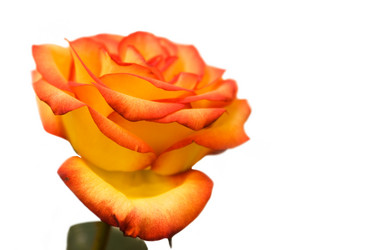 Similar image 198319