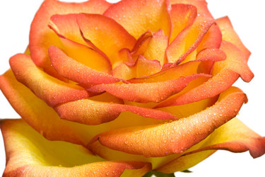 Similar image 198321