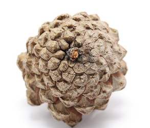 Similar image 198352