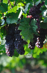 Similar image 198366