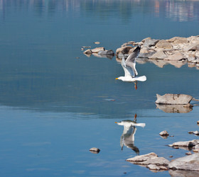 Similar image 198372