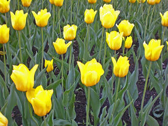 Similar image 198391