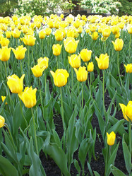 Similar image 198392