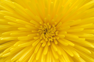 Similar image 198393