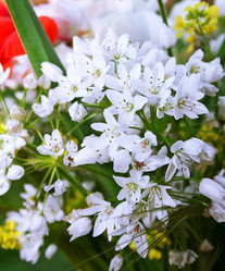 Similar image 198395