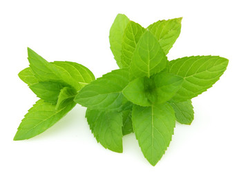 Similar image 198415