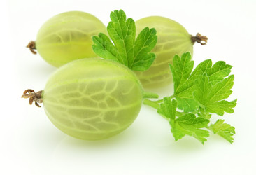 Similar image 198418