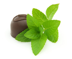 Similar image 198419